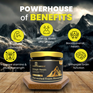 STRENGTH STAMINA POWER (2)