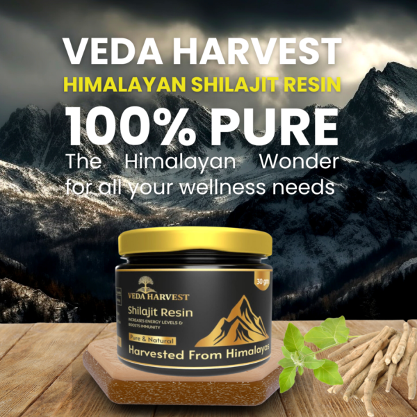 STRENGTH STAMINA POWER (3)