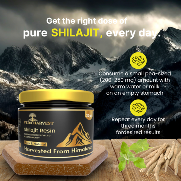 STRENGTH-STAMINA-POWER