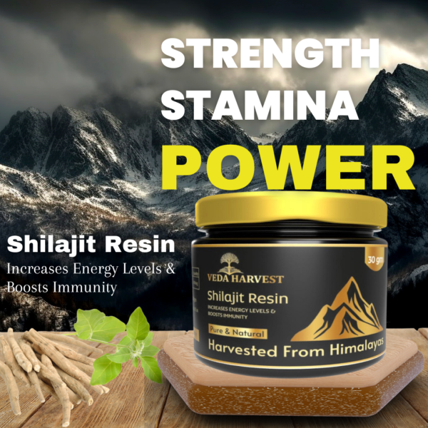 STRENGTH STAMINA POWER