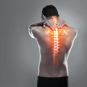 Supports-Bone-Health